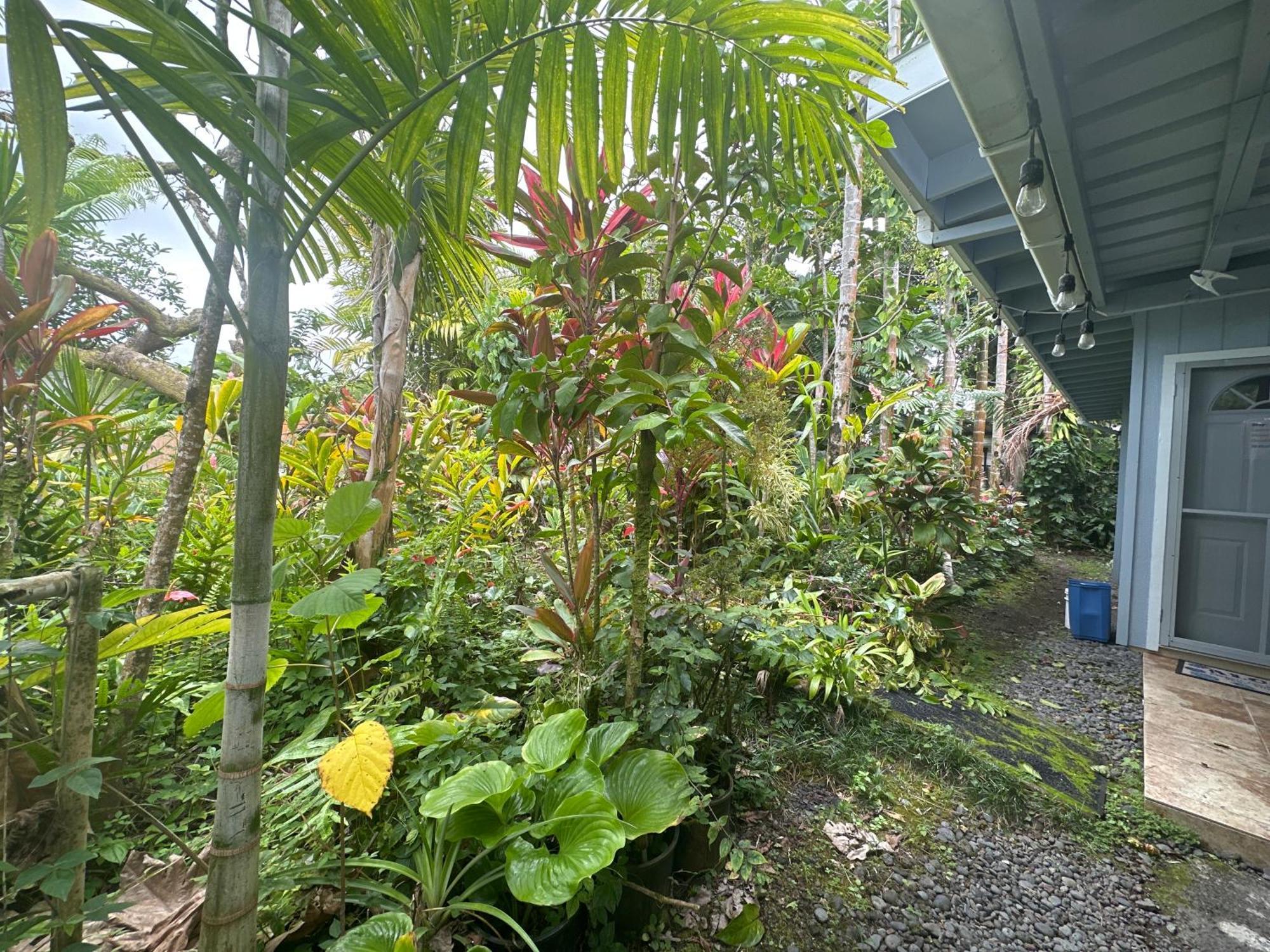 Hawaiian Ohana Home Хило Екстериор снимка