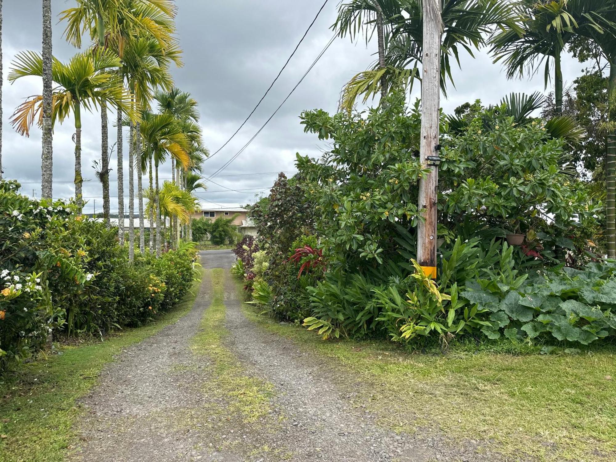 Hawaiian Ohana Home Хило Екстериор снимка
